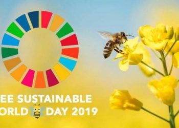 Expert calls on policy makers