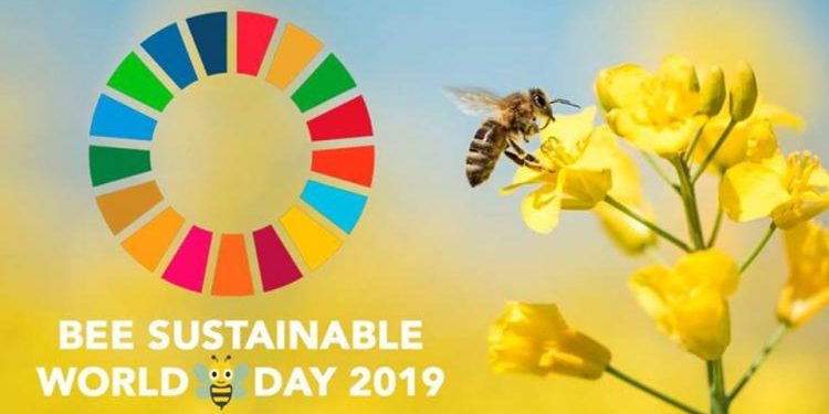 Expert calls on policy makers