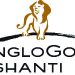 Anglogold Shuts South African Mine