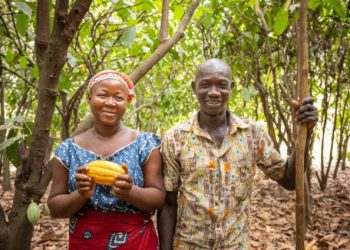 Cargill leverages technology