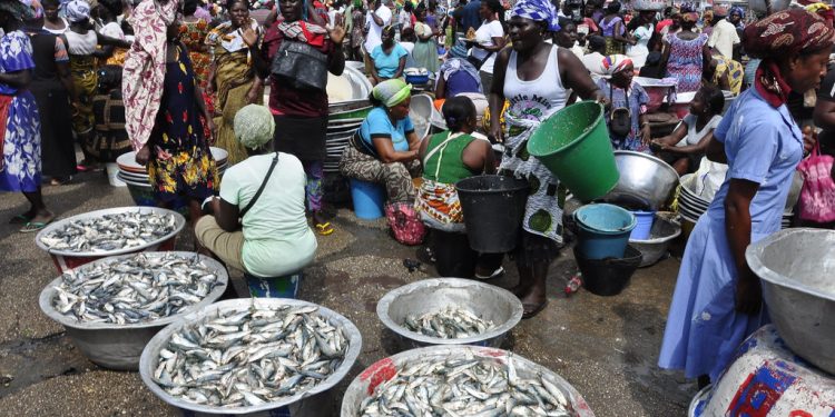 KEEA, fish market