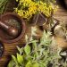 Herbal Medicine