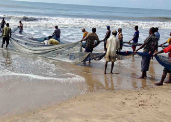 Fishermen demand mass testing, disinfection of coastal areas