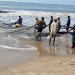 Fishermen demand mass testing, disinfection of coastal areas