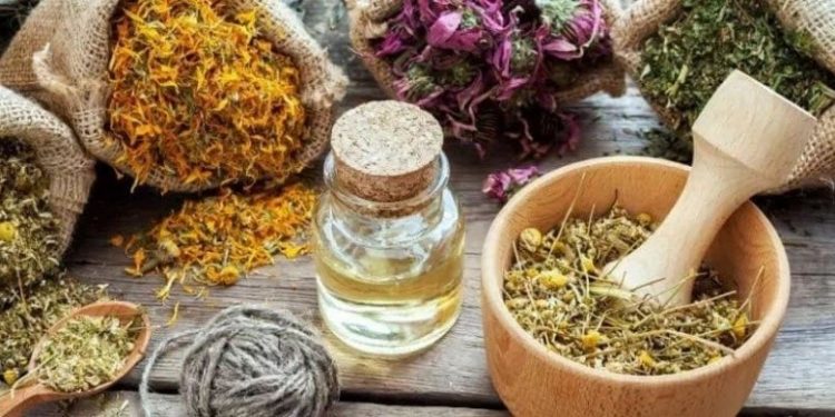 herbal drugs confirmed as immune booster