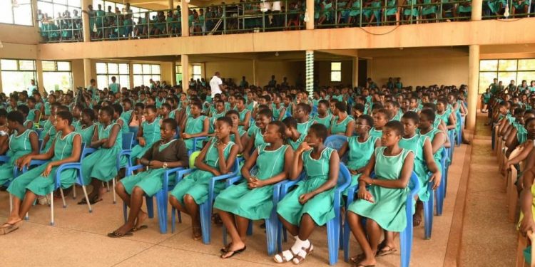 Senior High School Students