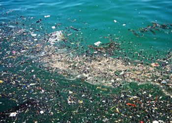 webinar series on innovative ways