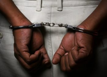 Baby Harvesting: More Perpetrators Have Been Identified