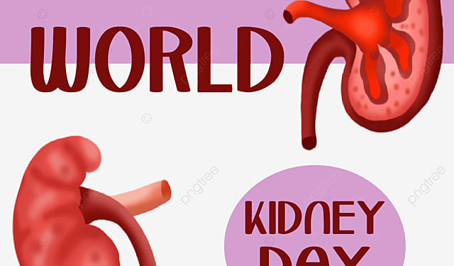 World Kidney Day- survivor advises persons living with the disease