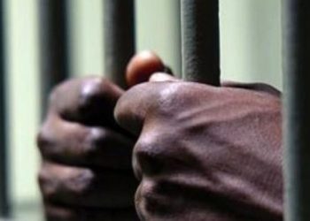 A police officer sentenced to 30 months imprisonment for causing injury