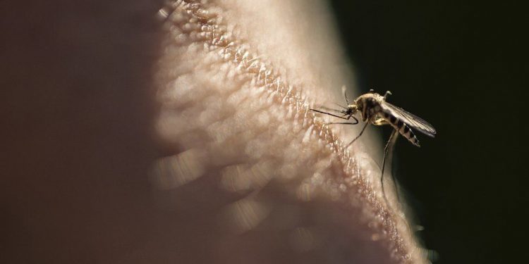 Malaria vaccine hailed as a potential breakthrough