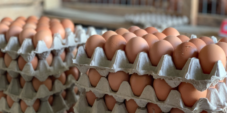 Issues facing poultry farmers will be discussed at an inter-ministerial level – MoFA