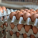 Issues facing poultry farmers will be discussed at an inter-ministerial level – MoFA