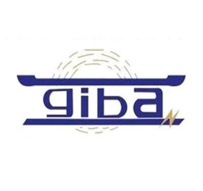 Closure of TV stations long overdue…GIBA president