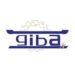 Closure of TV stations long overdue…GIBA president