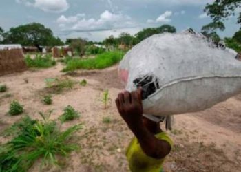 White people and dogs 'rescued first' in Mozambique