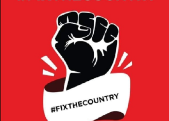 ‘Our mission is to institutionalize 'protest,' –  #FixTheCountry convenors