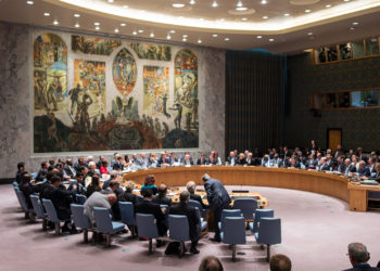UN Security Council
