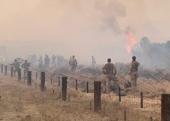 Kenyans sue the British army over fire at wildlife sanctuary