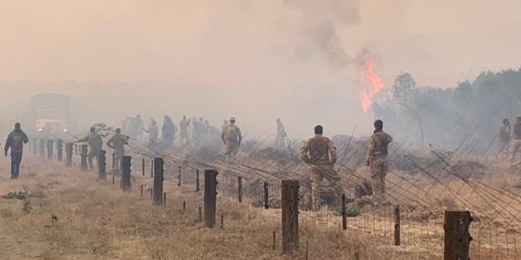 Kenyans sue the British army over fire at wildlife sanctuary
