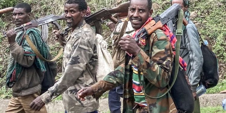 Ethiopia's Tigray crisis: Fighting escalates despite ceasefire