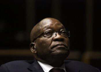 Zuma seeks public donations for his legal fight