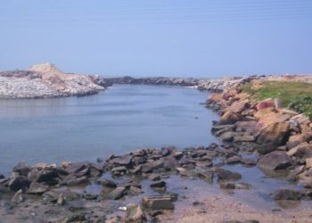 Auditor's General department