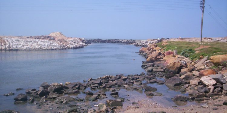 Auditor's General department