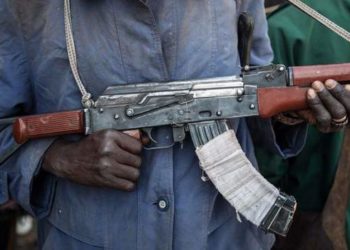 Nigeria's Kaduna state launches 'total war' against gangs