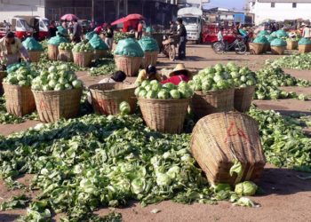 Agric professor calls for measures to prevent post-harvest losses