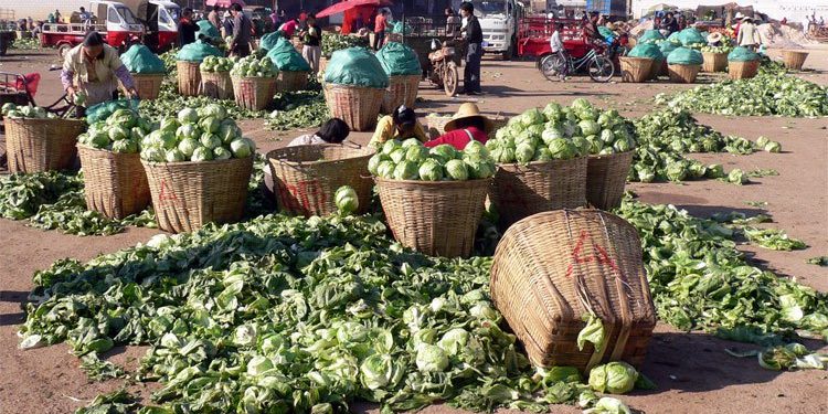 Agric professor calls for measures to prevent post-harvest losses