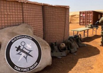 Head of Islamic State in Sahara killed by French troops – Macron