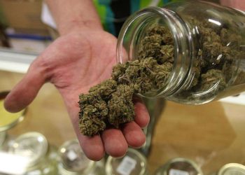 Uber takes its first step into the cannabis market