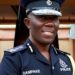 Let us not politicize the IGP's work - Nyamah