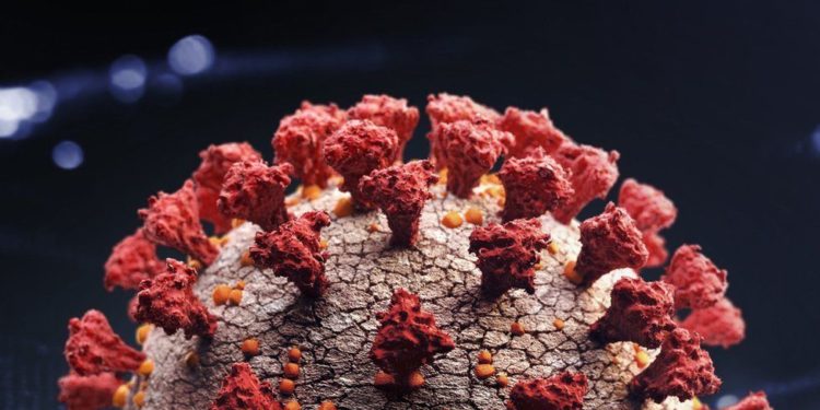 Omicron: South African scientists probe link between variants and untreated HIV