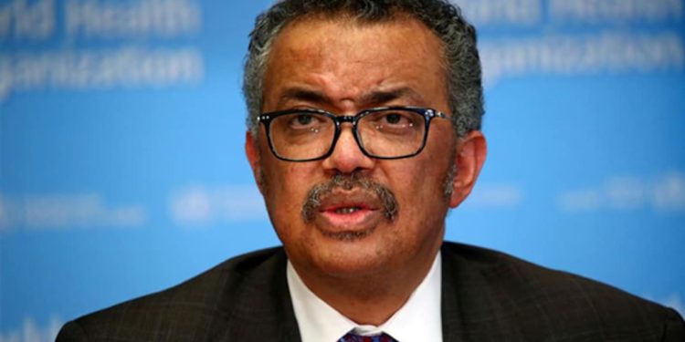 WHO calls for the suspension of events during Christmas