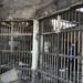 Nigeria prisoners shot dead in jailbreak attempt