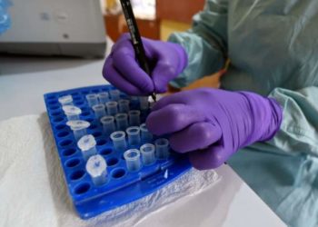 Emergency action in Nigeria over deadly Lassa fever