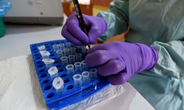 Emergency action in Nigeria over deadly Lassa fever