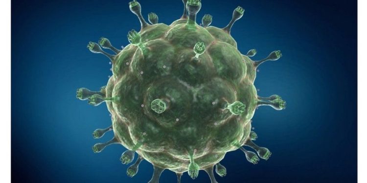 HIV: First woman in world believed to be cured of virus
