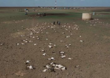 Over 10m face severe hunger in Horn of Africa - UN