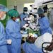 Korle Bu Eye Centre conducts 6 cornea transplants