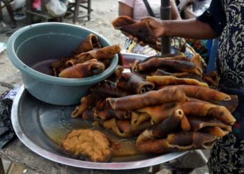 Nigeria seizes tonnes of hides on sale as food