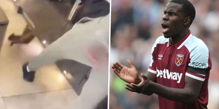 Police launch enquiry into Kurt Zouma’s cat attack