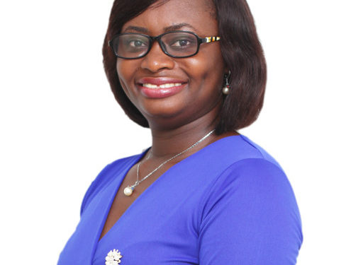 Statistician bemoans underutilization of their services in the country