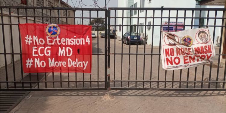 ‘Our MD must go’ – ECG workers demand removal of their boss