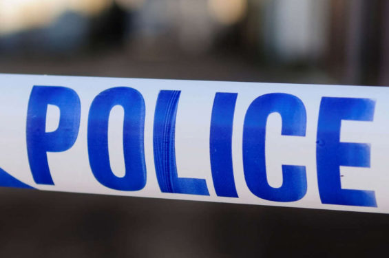 Toddler mauled to death by dog her family had owned for just one week