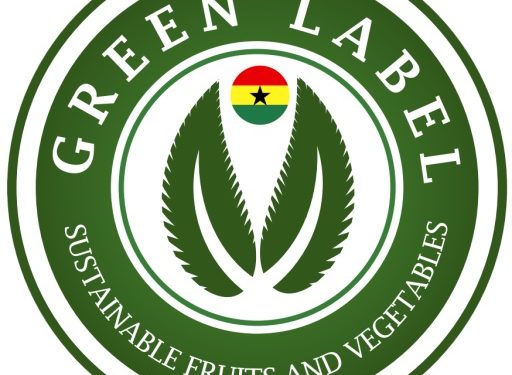 Ghana to hold Green Ghana Day in commemoration of International Forest Day 2022