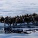 Nine African migrants drown off Tunisia coast