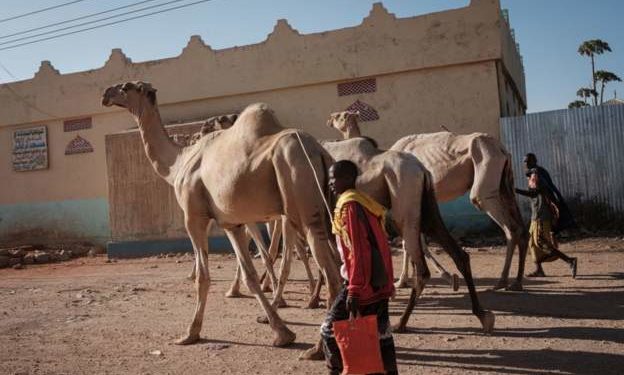Millions at risk of famine in Somalia - UN